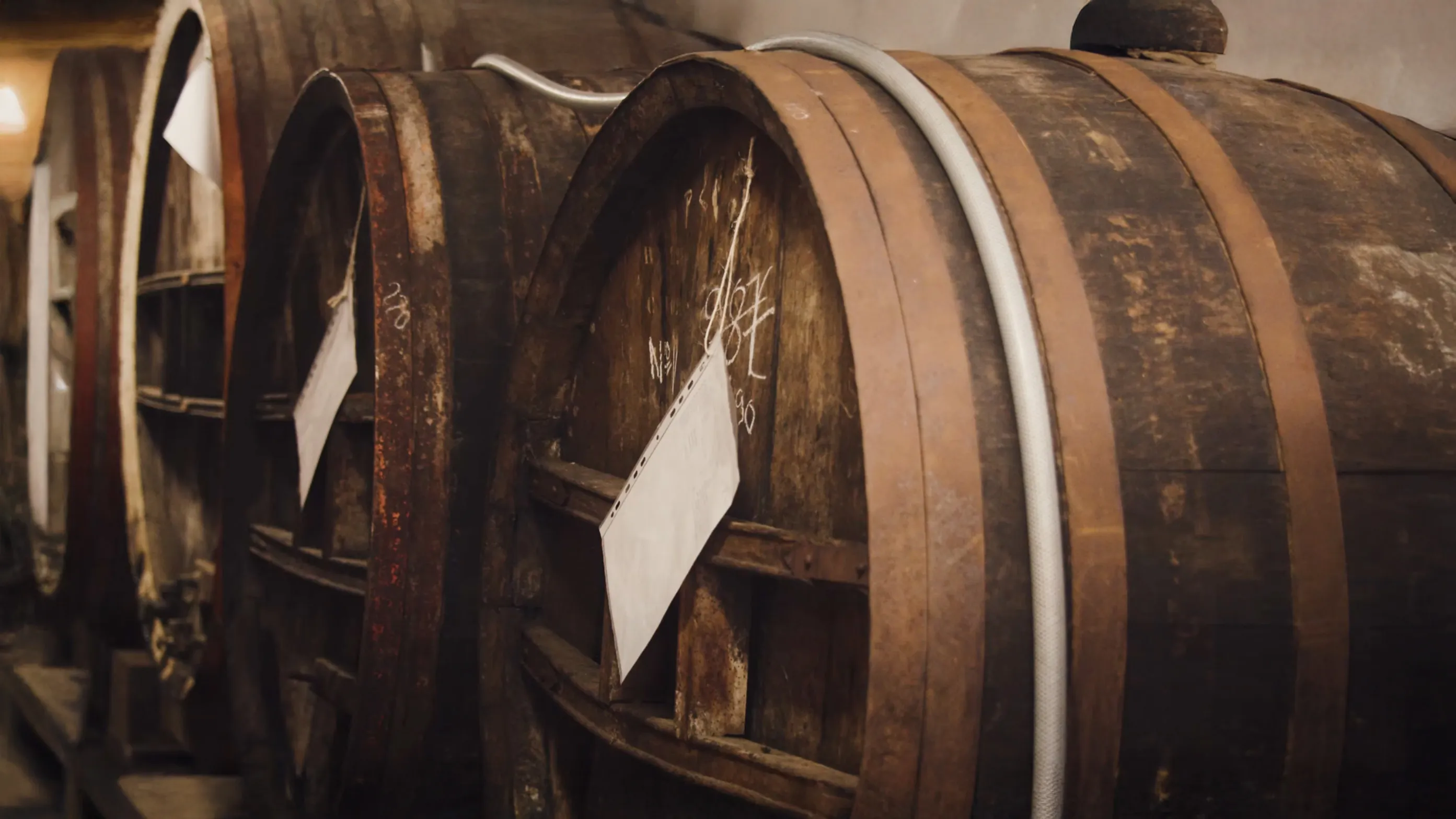 Cave Calva reportage cidrerie