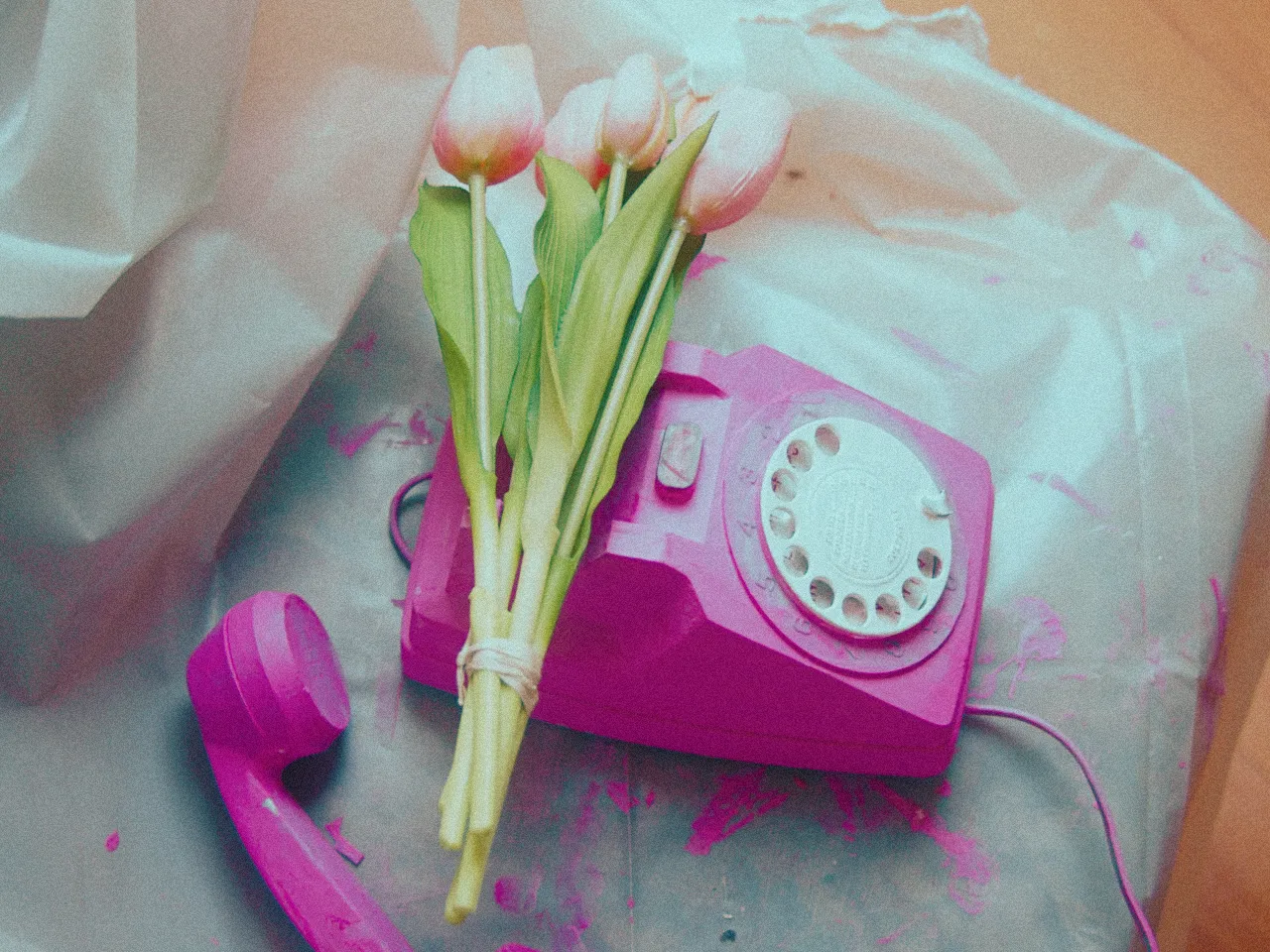 Screen Visualizer artiste Normandie